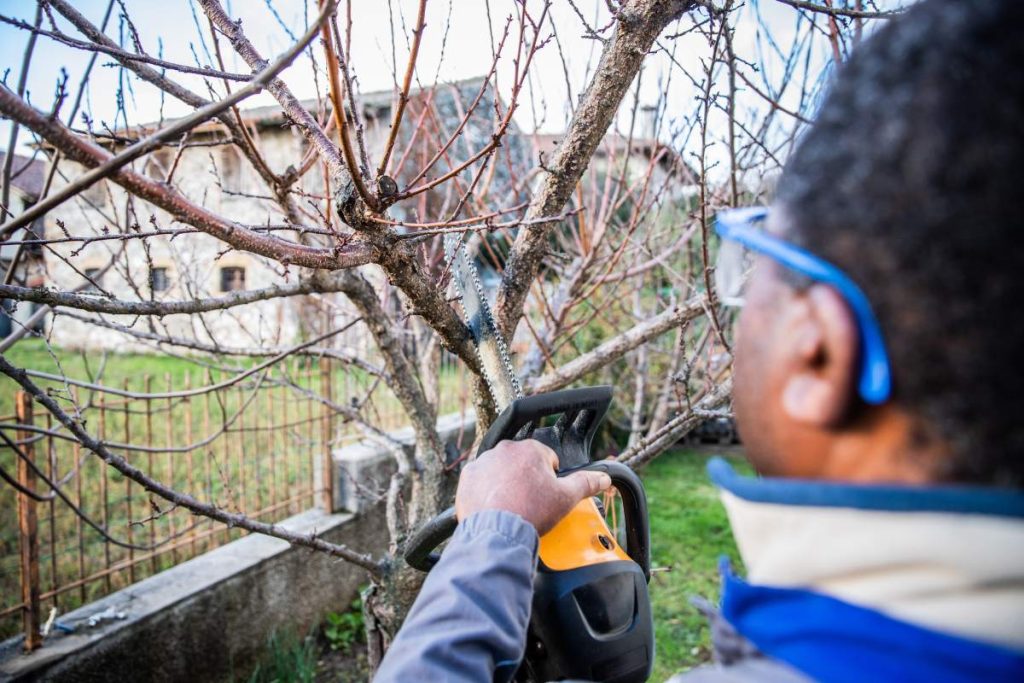 Woodcutter cuts wood and wears protective goggles