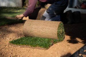 gardener laying down a roll of green grass turf in back yard. Gardening concept, green lawn